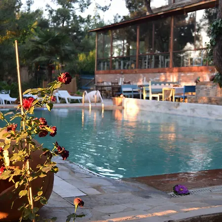 ホテル Kayserkaya &