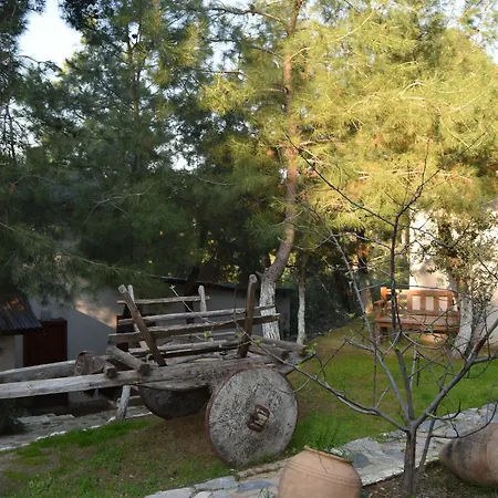 Kayserkaya & 3* Sirince